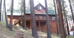 100 TIMBER LN MARKLEEVILLE, ALPINE, CA 96120