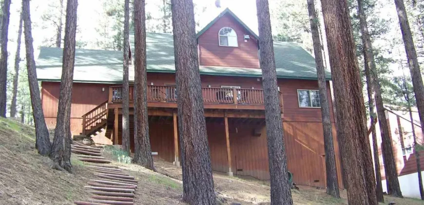 100 TIMBER LN MARKLEEVILLE, ALPINE, CA 96120