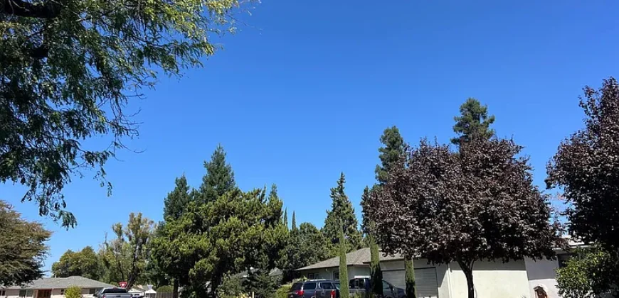 1004 RAMONA AVE MODESTO, STANISLAUS, CA 95350