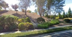 3689 CROW CANYON RD SAN RAMON, CONTRA COSTA, CA 94582