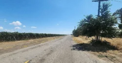 8386 ROAD 30 MADERA, MADERA, CA 93637
