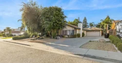 9111 BIRCH CREEK CT BAKERSFIELD, KERN, CA 93312
