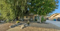 9111 BIRCH CREEK CT BAKERSFIELD, KERN, CA 93312