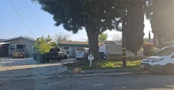 871 W CHANNEL ST SAN PEDRO, LOS ANGELES, CA 90731